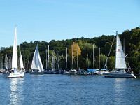 5te-Clubregatta 2013 71